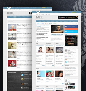 ThemeForest wordpress杂志主题Felici