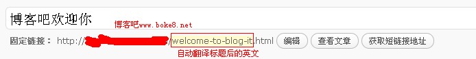 WordPress 中文URL转为英文插件wp slug translate